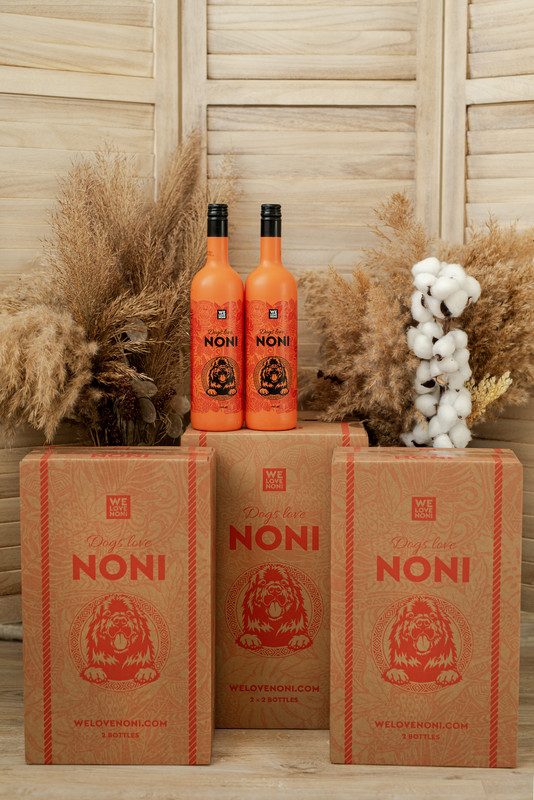 Two bright orange Dogs Love NONI bottles in front of three branded gift boxes, styled with dried grasses and cotton stems on a wooden background.
